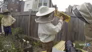 Modern Day Renaissance Man
