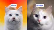 The False Promise of Cloning Your Pet