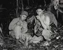 Honoring Native American Code Talkers