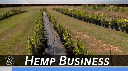 Video thumbnail: Carolina Impact Hemp Business