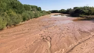 Impact of a Dry Rio Grande