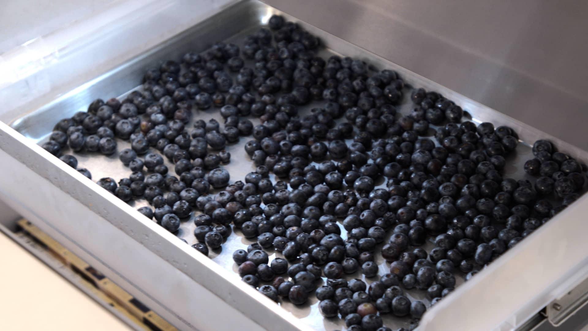 Sheri Says: How to Wash and Freeze Fresh Blueberries