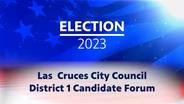 ELECTION 2023: DISTRICT 1 CITY COUNCIL CANDIDATE FORUM