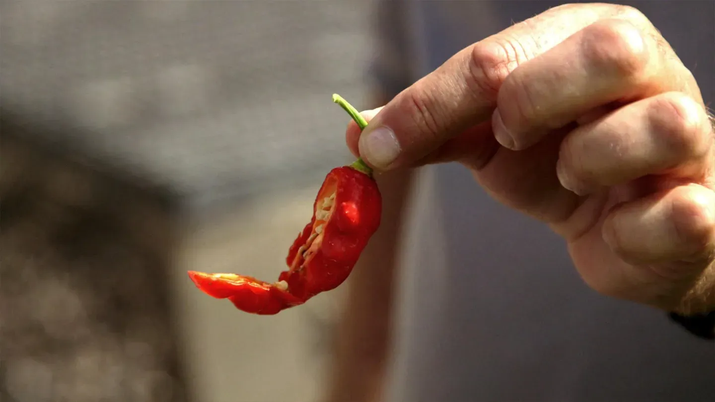 The Chili Pepper Trail