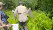 Go Butterfly Watching with a Pro