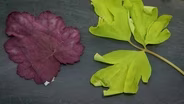 Upcycling Plastic Garden Materials