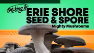 Magic Behind Growing Mushrooms at Erie Shore Seed & Spore