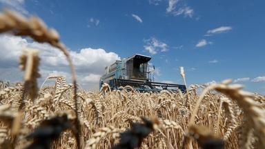 Russia's war in Ukraine disrupts global food prices, supply