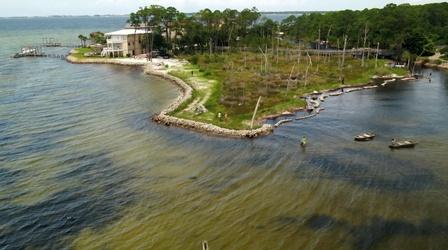 Video thumbnail: PBS NewsHour As sea levels rise, oysters and marsh grass reverse erosion