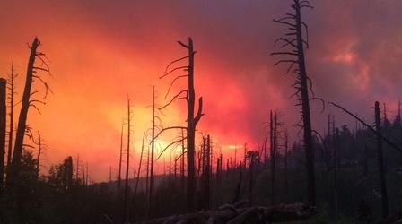 Video thumbnail: Our Land: New Mexico’s Environmental Past, Present and Future The Longest Season