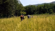 How does the loss of native grasslands impact biodiversity, soil health, and agriculture?