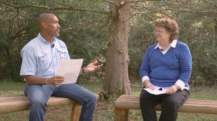 Video thumbnail: The Family Plot Cutting Down a Tree & Ornamental Grasses
