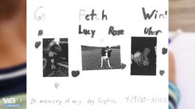 Video thumbnail: WVIA Special Presentations Lucy Rose Uher - 1st Grade Winner PBS Kids Writers Contest