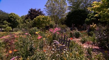 Video thumbnail: Volunteer Gardener Volunteer Gardener 2911