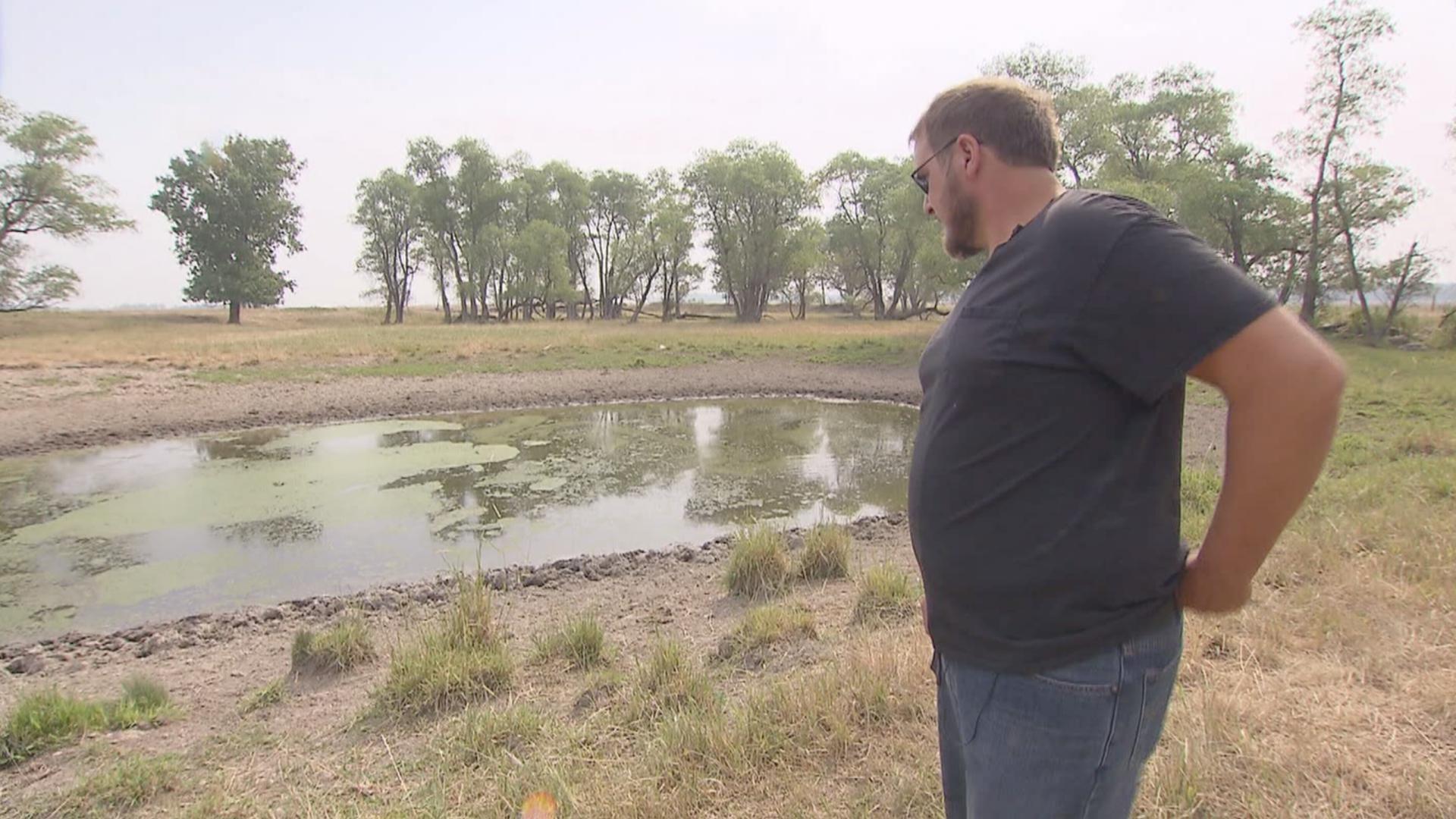 Drought Hits Livestock Farmers Hard