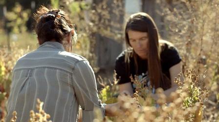 Video thumbnail: Tending Nature Native Foodways with the Cultural Conservancy