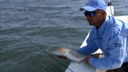 Top Water Red Drum