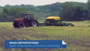 How Mass Deportations Could Affect Illinois' Farming Industry