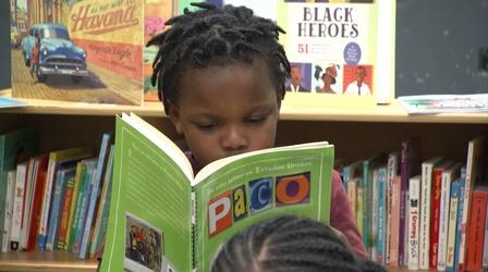 Video thumbnail: Learning to Read Diversity in Books