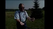 Dowsing