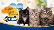 Little Tux, 10-4 and Sherbert | Mark's Furry Friends Extra
