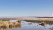 The Link Between the Salton Sea's Odor and Its Health Risks