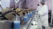 SciTech Now: Episode 606