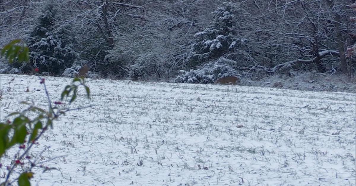 Kentucky Afield Striper Fishing; Rabbit Hunt; Deer Hunt in the Snow