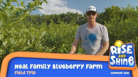 Video thumbnail: Rise and Shine Field Trip Neal Family Blueberry Farm