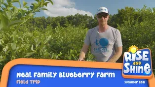 Field Trip Neal Family Blueberry Farm