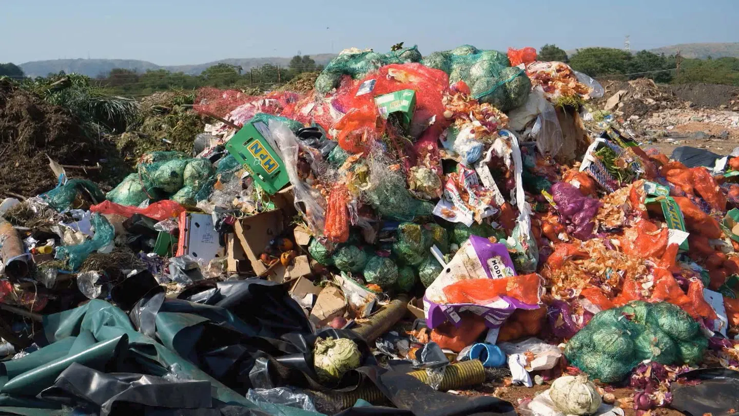 Waste