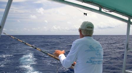 Video thumbnail: North Carolina Weekend The Albatross Fleet