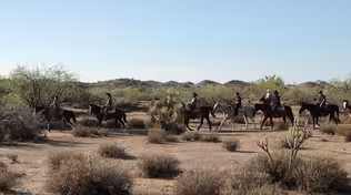 Arizona camp teaches foster children cowboy skills