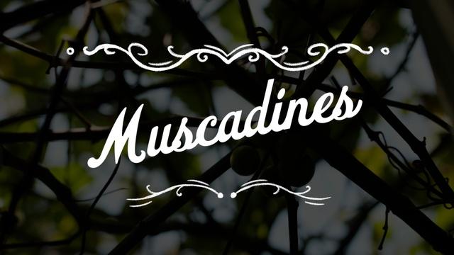 The Key Ingredient | Preview | Muscadine Mood