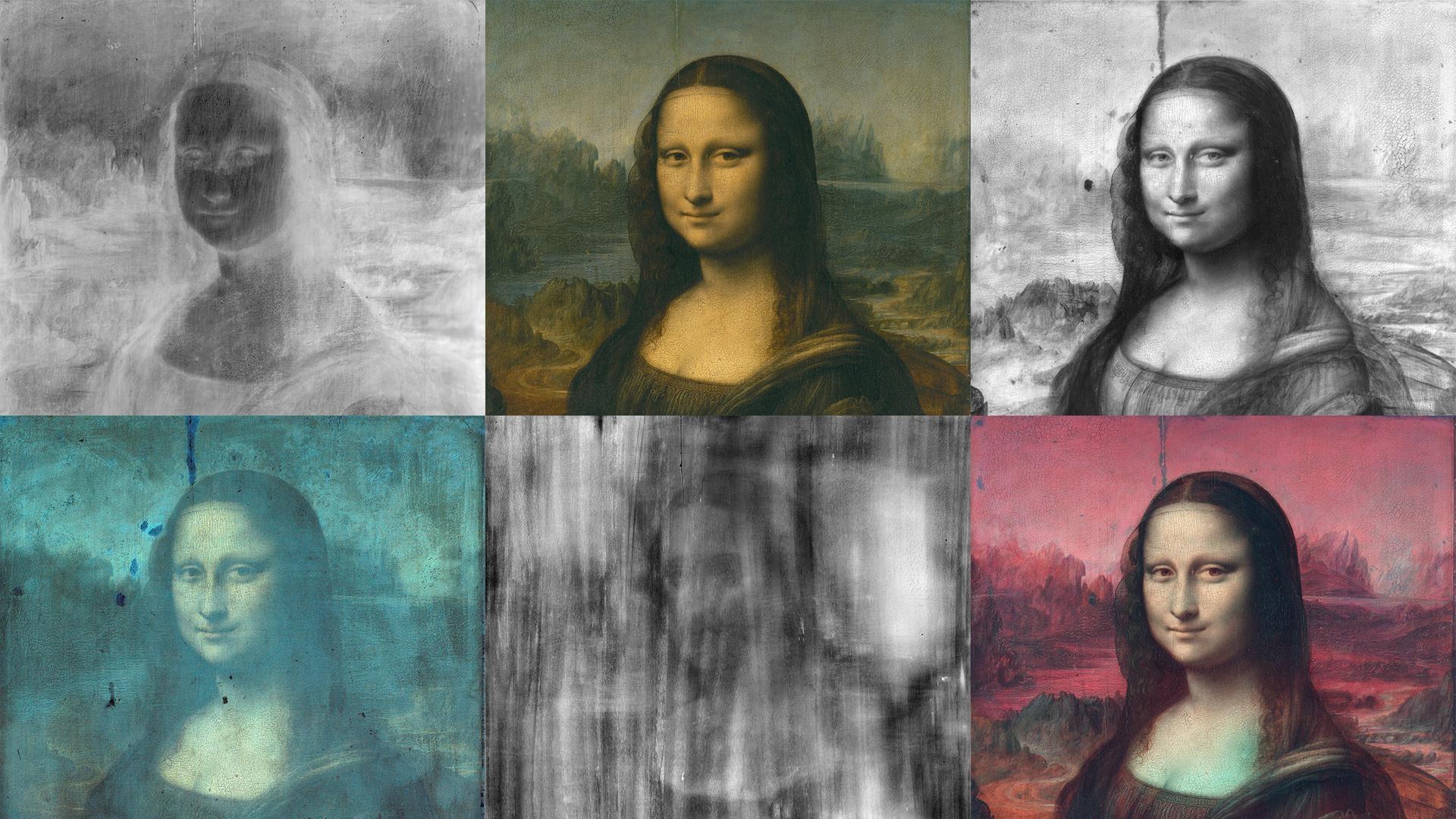  Mona Lisa with Inverted Colors, Mona Lisa Reproduction