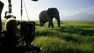 The Making of Tusker