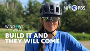 Build It And They Will Come