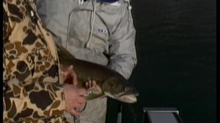 Video thumbnail: Rod & Reel Streamside Dancing with the Devil