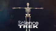 Skeletons: Skeletons Uncovered