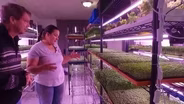 Itty Bitty Microfarm