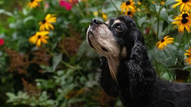 J Schwanke's Life In Bloom | Get Outside