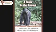 2-239: Reading A Bear In The Forest