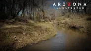 From Sierra Vista