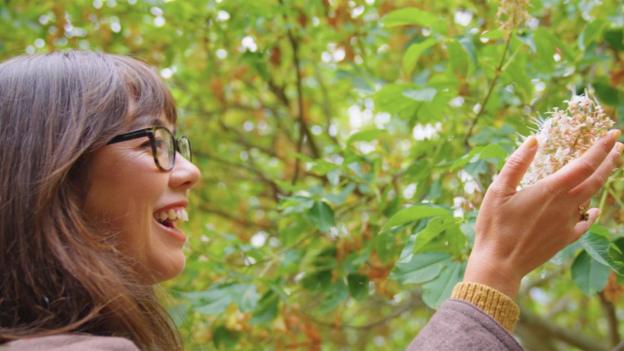 Climate California | Now Preview