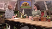 Basic Indoor Cactus Care