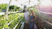 Tomato Tunnel with Amy and Glenn McMinn