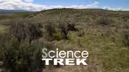 Deserts: Semiarid Deserts