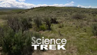 Deserts: Semiarid Deserts