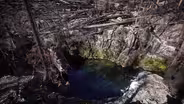 Opal Creek After Fire; Rogue Dogs
