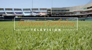 Oklahoma Gardening July 13, 2024